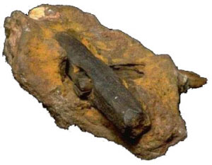 Versteinerter Hammer, Glen Rose, Texas