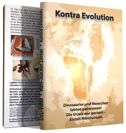 Kontra Evolution DVD-Video